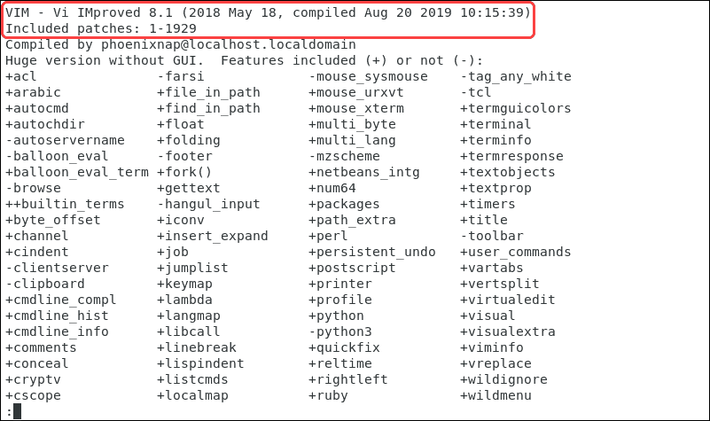 Command that displays the version of Vim and features currently installed.