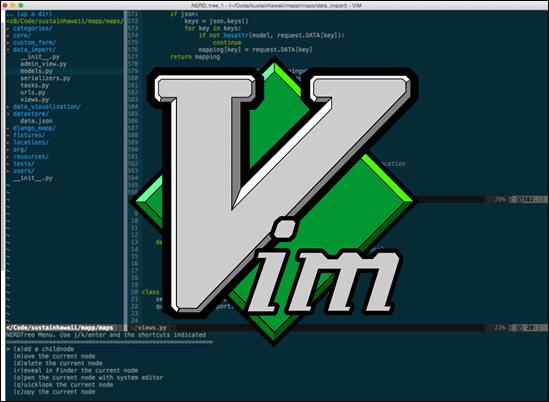 Vim python code editor