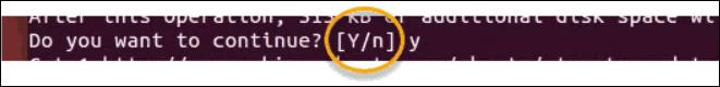 Confirm the apt-get installation of a specific version of a package.