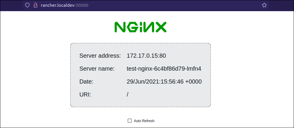 The Nginx demo server page.