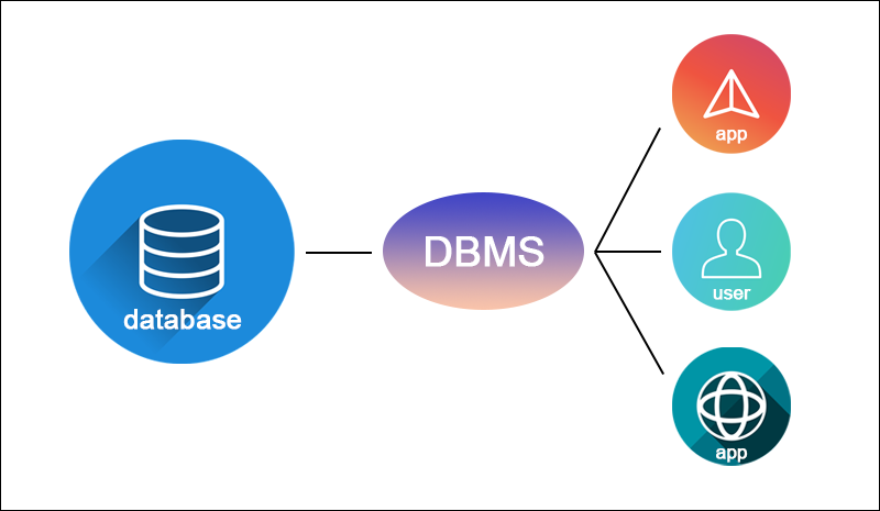 Database Software and Applications