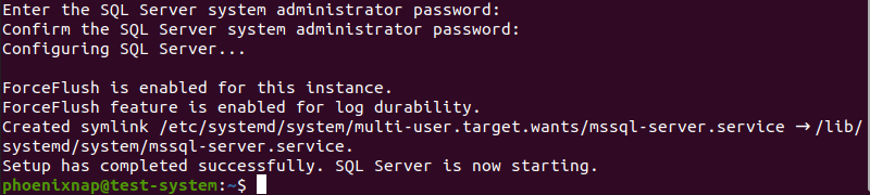Set up the server administrator password