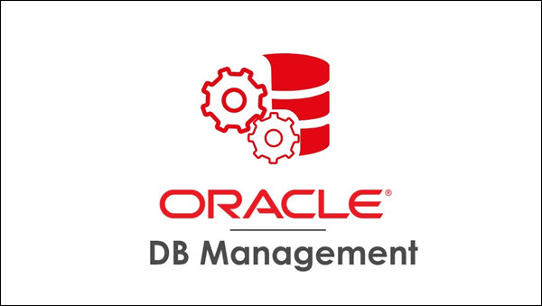 Database Management Software Logo