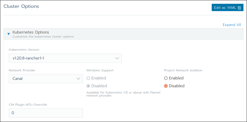 Customizing the cluster options in Rancher.