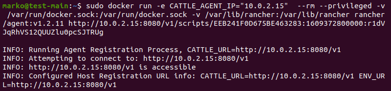 Pasting the host registration command in terminal.