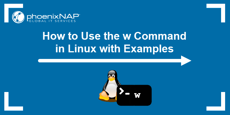 How to use the w command in Linux