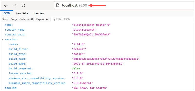 accessing manually deployed elasticsearch application from browser