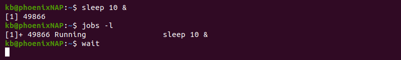 Terminal output of wait command