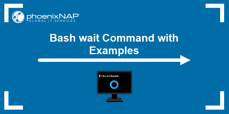 Bash wait Command with Examples