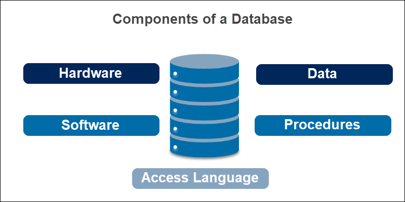 Components of a database
