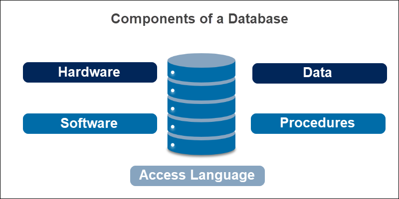 components-of-dbms-tae