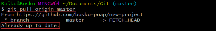 Running git pull to fetch changes from a remote repository.