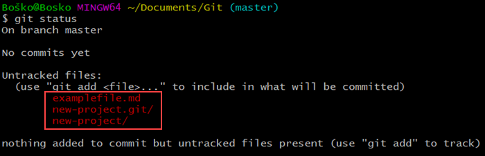 Running git status to see which files and directories Git tracks.