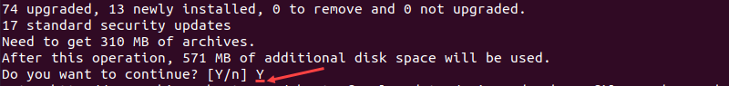 Type Y and press Enter to confirm Ubuntu update