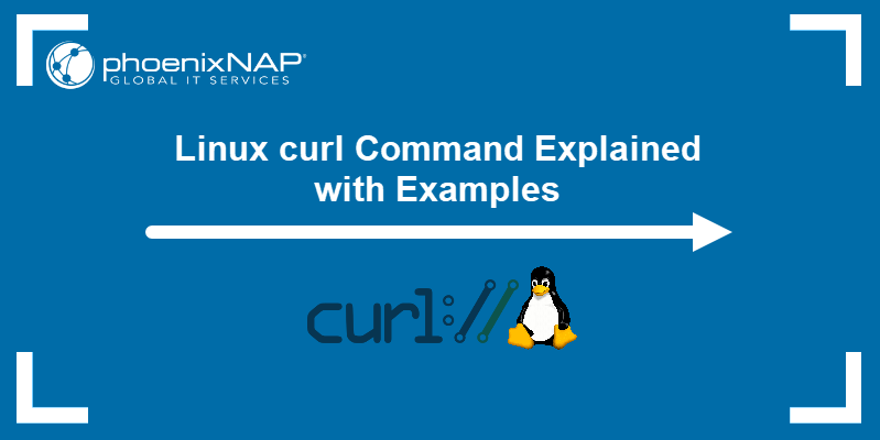 What's the difference between C curl and D curl? – LINX®