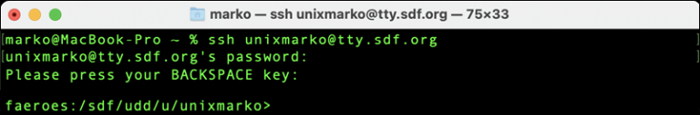 What Is SSH (Secure Shell) And How Does It Work?