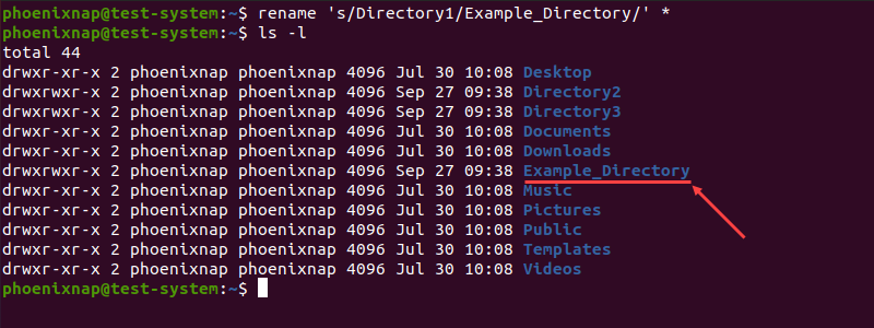 Verifying the new directory name with the ls command