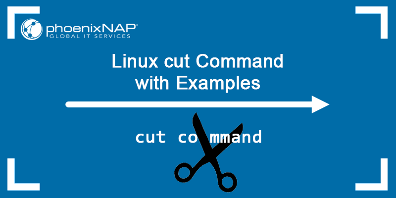 Linux cut command tutorial.