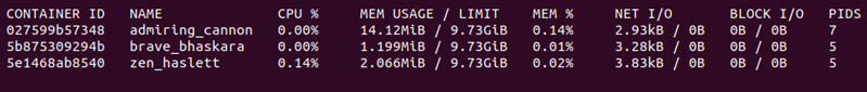 Checking metric data about the running containers with the docker stats command.