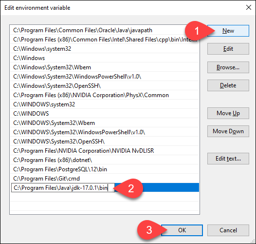 Adding a new Java variable in Windows.