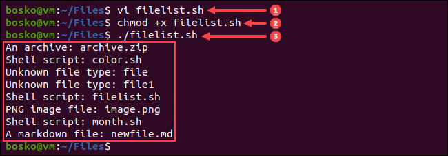 See a list of files and file types in a directory using the bash case statement.