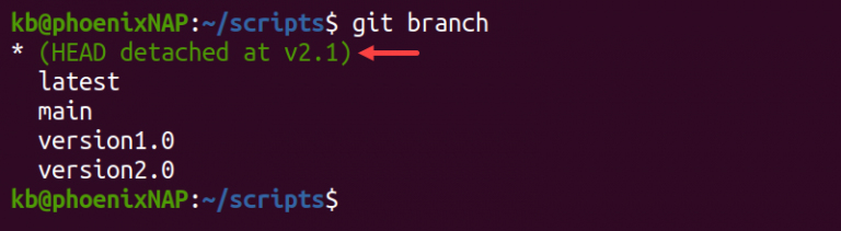 git checkout tag different than scm tag