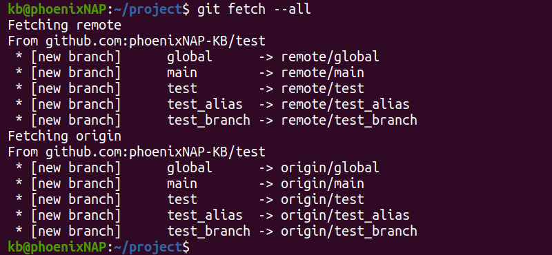 git fetch --all terminal output