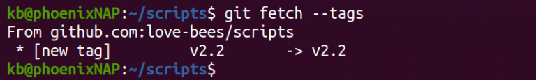 git checkout tag example