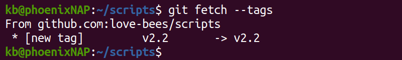 git fetch tags terminal output