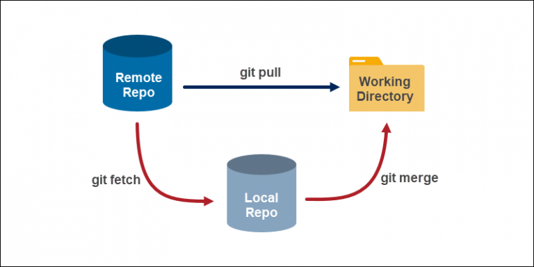 git fetch doesn't pull new branches