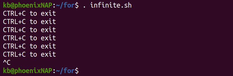 infinite.sh terminal output