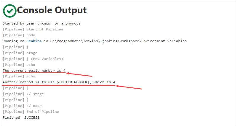 Console output when reading Jenkins environment variables