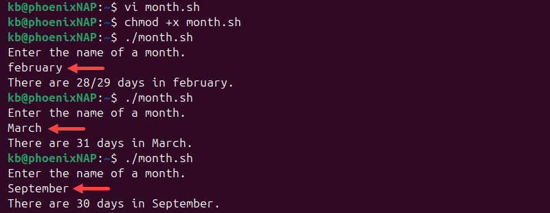 vi month.sh script terminal output