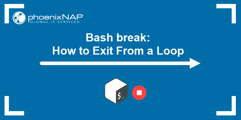 Bash break: How to Exit From a Loop