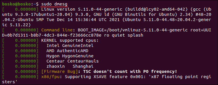 A partial output of the Linux dmesg command.