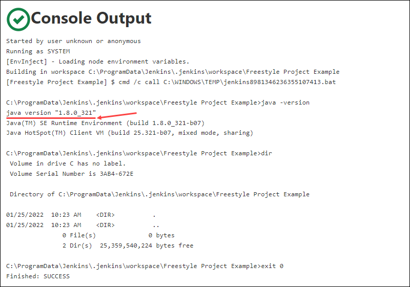 Jenkins project console output