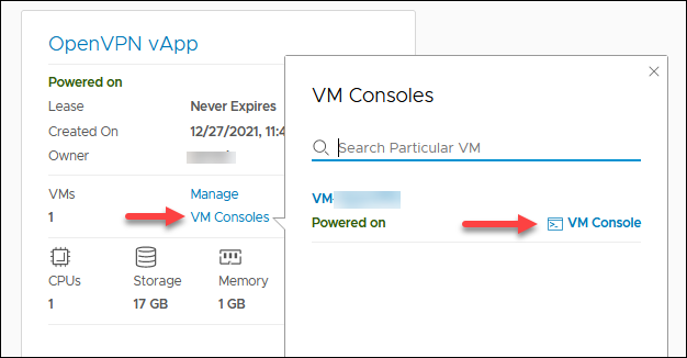 Launching VM console from the vApp screen