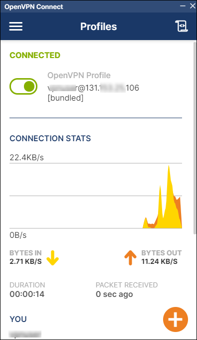 Launch the OpenVPN Access Server client and establish a connection