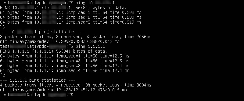 Pinging edge gateway and a DNS server via the VM console