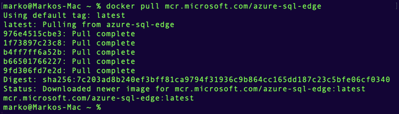 Pull the Azure SQL Edge image from Microsoft's repository.