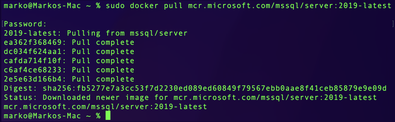 Pull the MSSQL docker image from Microsoft's repository.