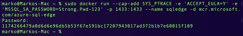Use the docker ps command to check if the container is running.