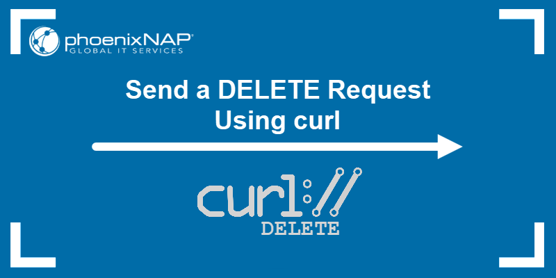 Send a DELETE Request Using curl