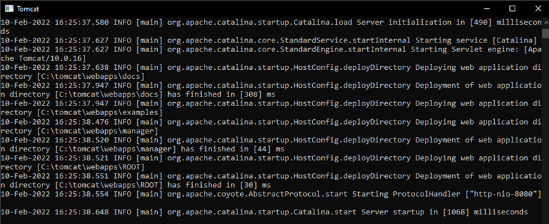 Tomcat console windows displaying server status.