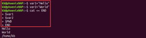 Bash HereDoc Tutorial With Examples | phoenixNAP KB