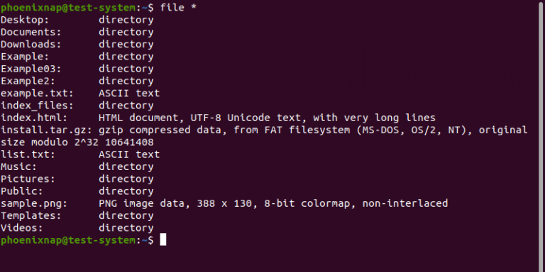 Linux File Command: How to Determine File Type in Linux {+10 Examples}