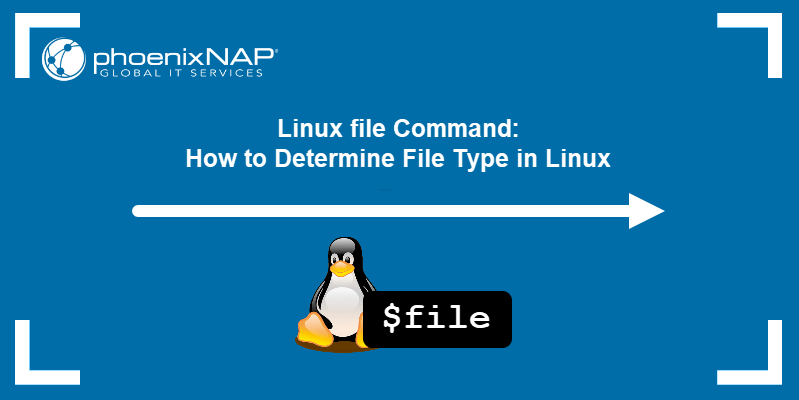 Linux file command: how to determine file type in Linux
