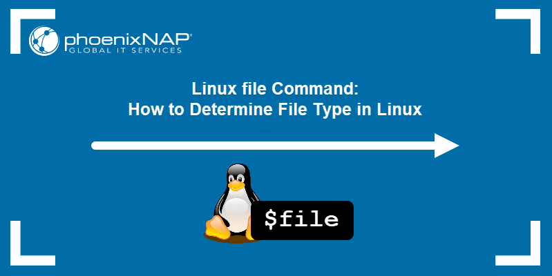 Linux File Command How To Determine File Type In Linux 10 Examples 