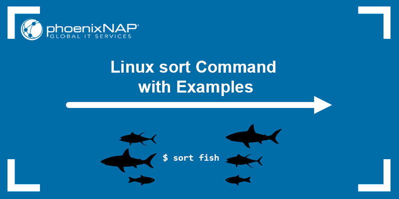Linux sort command tutorial with examples.