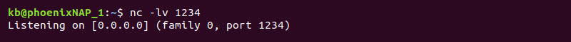 Device 1 nc -lv 1234 listening terminal output